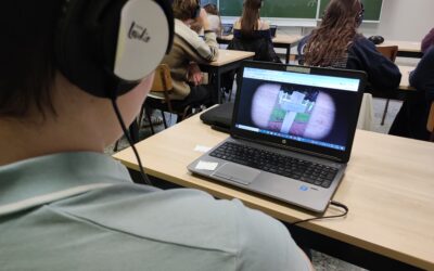 Any1 nu ook voor Vlaams onderwijs