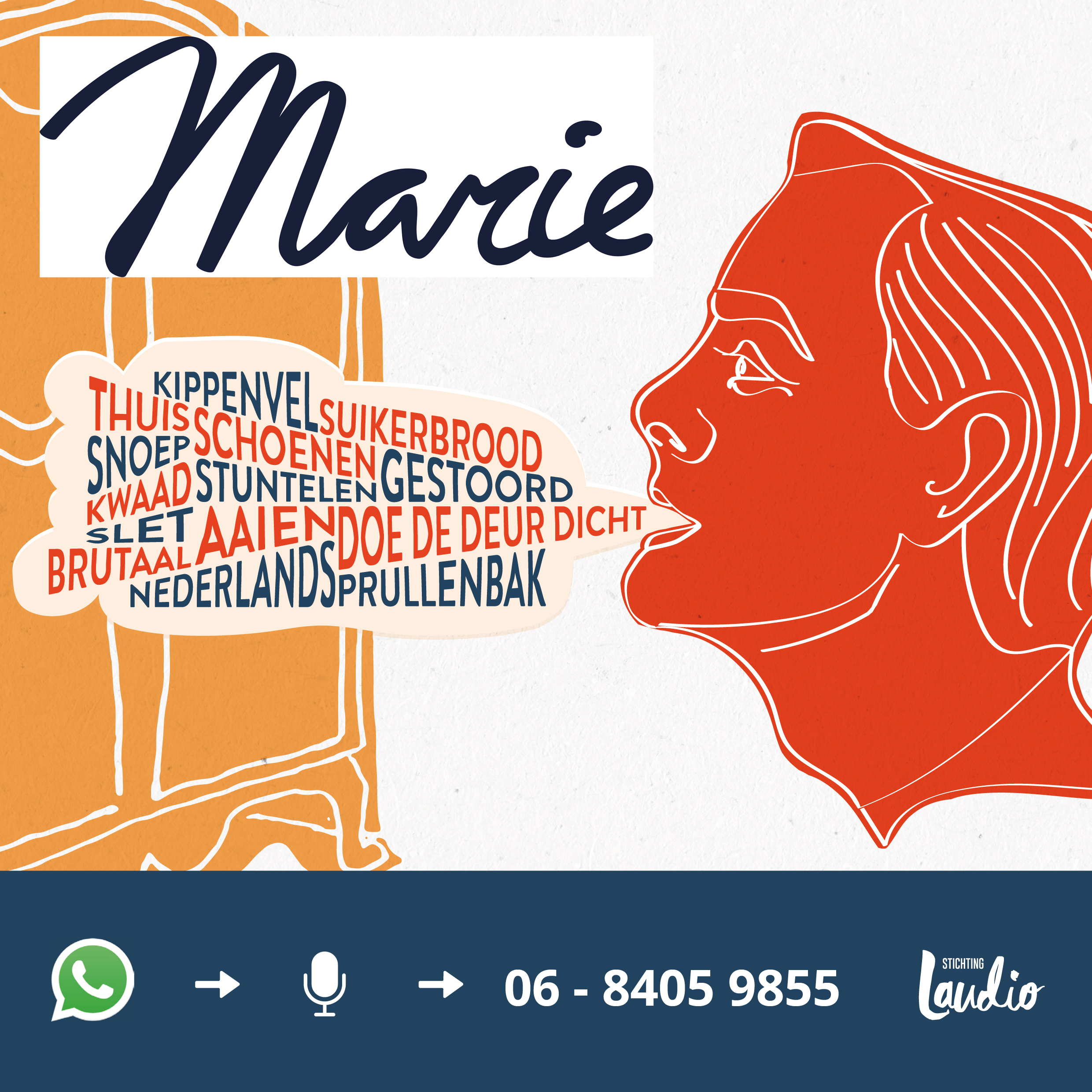 Laudio Miet illustratie dialecten_drukwerk